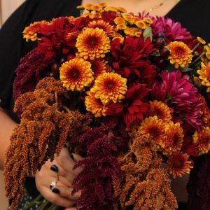 Harvest Abundance