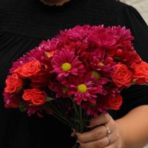 Mums and Roses