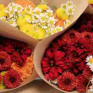 "Pick me up!" Bouquet Bundles